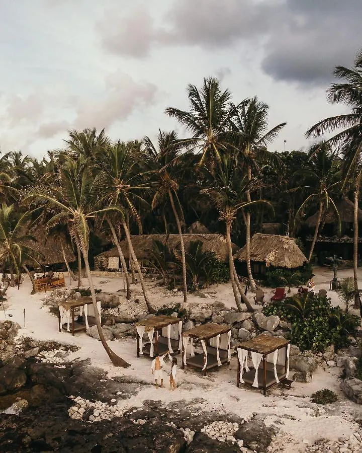 Hotel Diamante K - Inside Tulum National Park