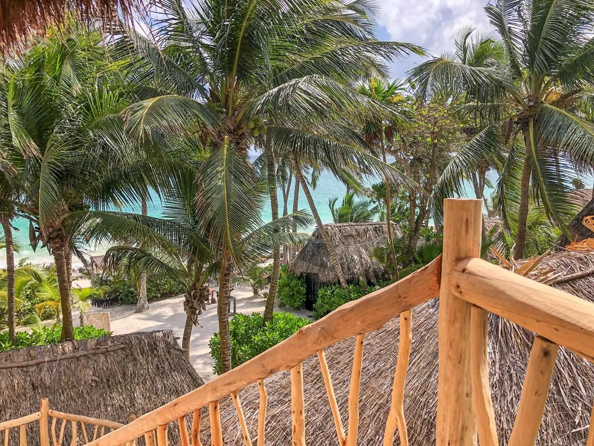 Hotel Diamante K - Inside Tulum National Park