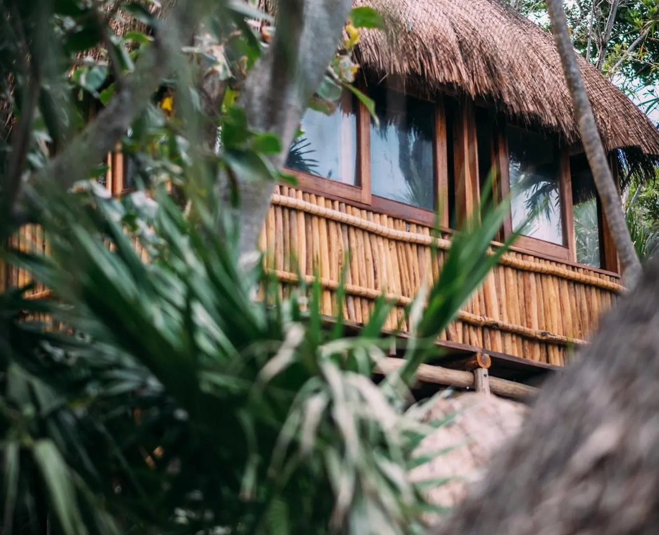 Hotel Diamante K - Inside Tulum National Park