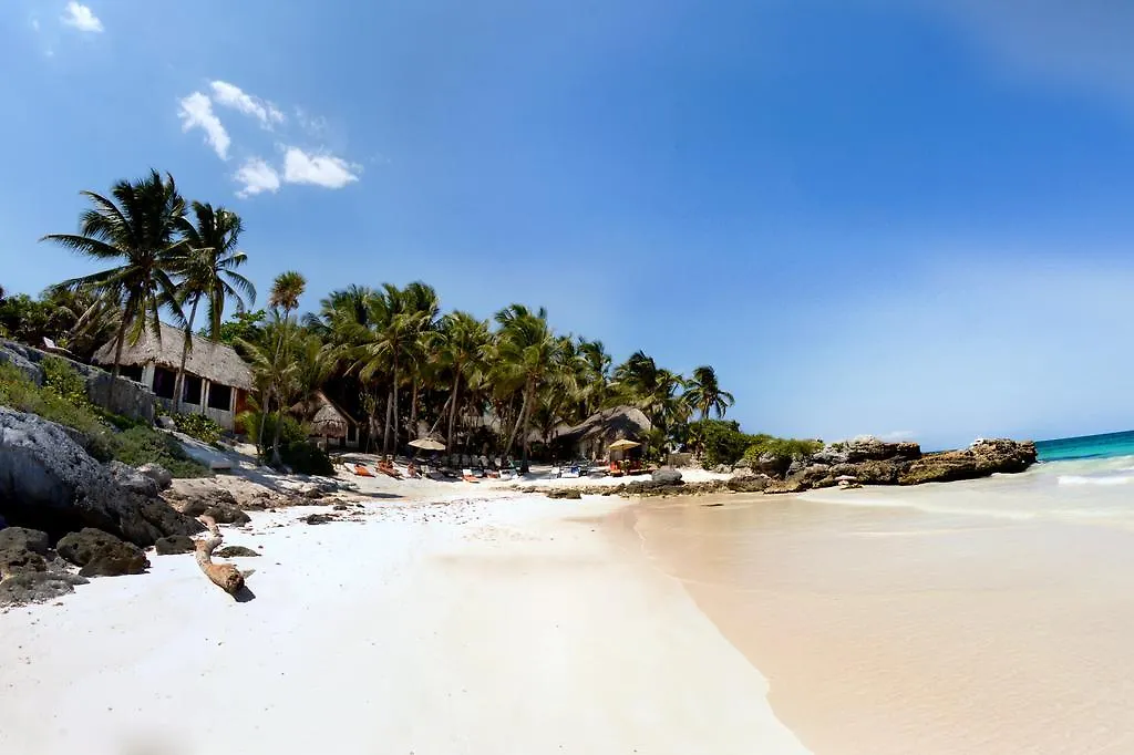 Hotel Diamante K - Inside Tulum National Park