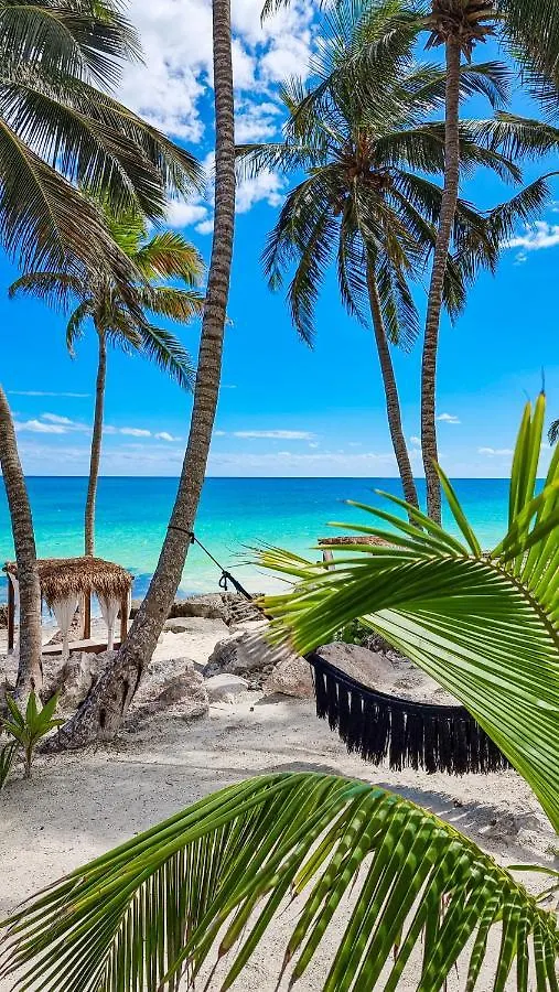Hotel Diamante K - Inside Tulum National Park