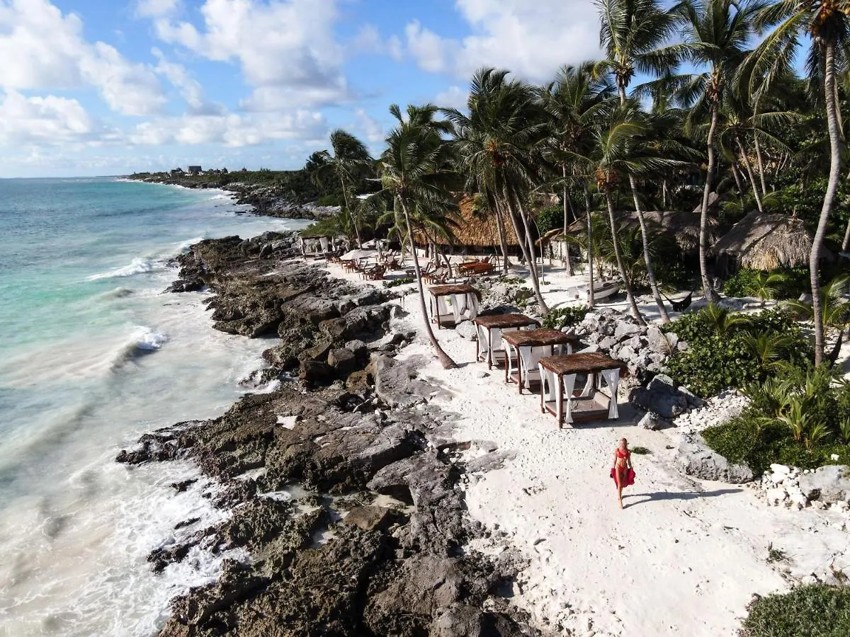 Hotel Diamante K - Inside Tulum National Park